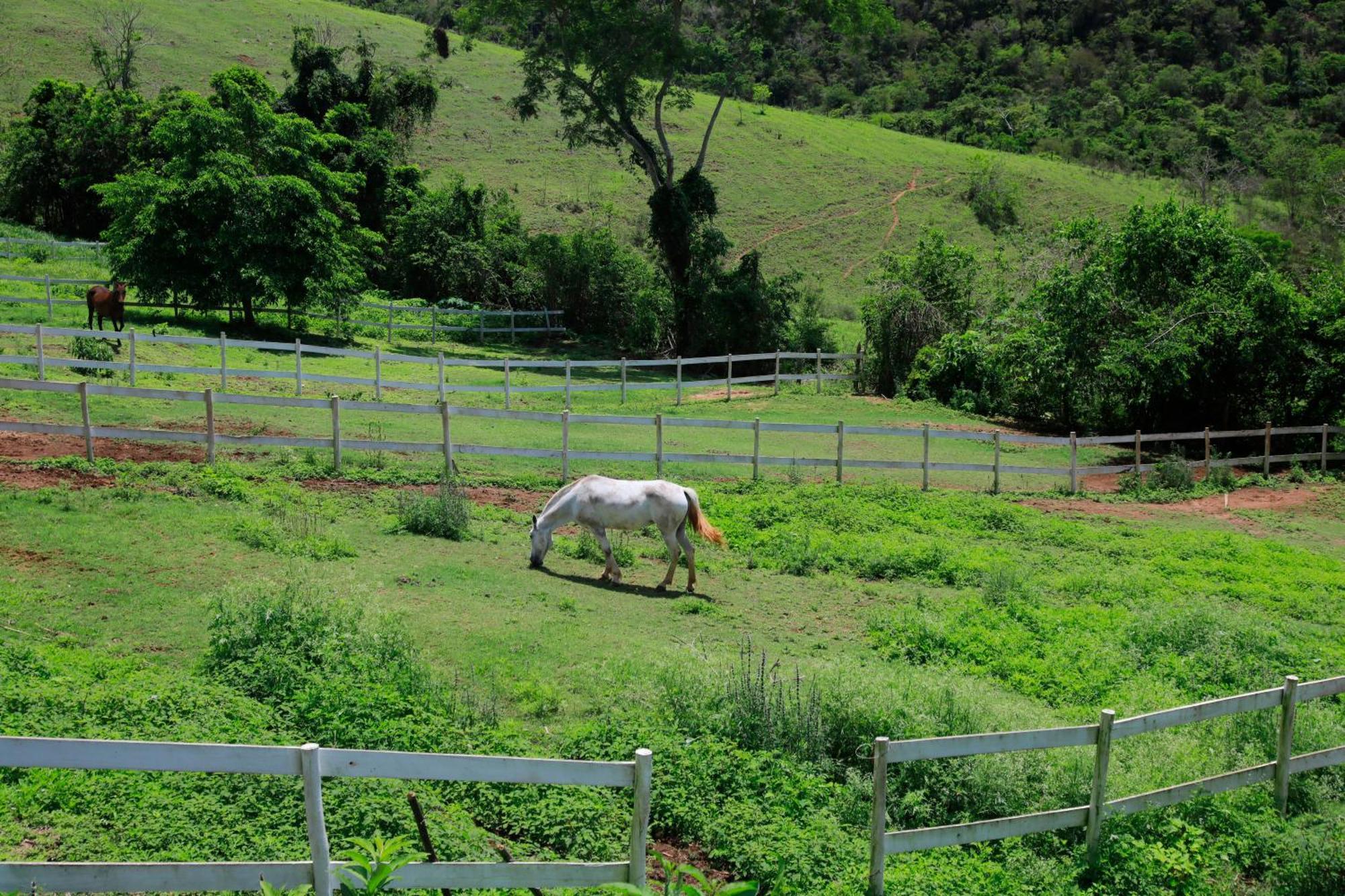 Petrópolis Cabana Secretario מראה חיצוני תמונה